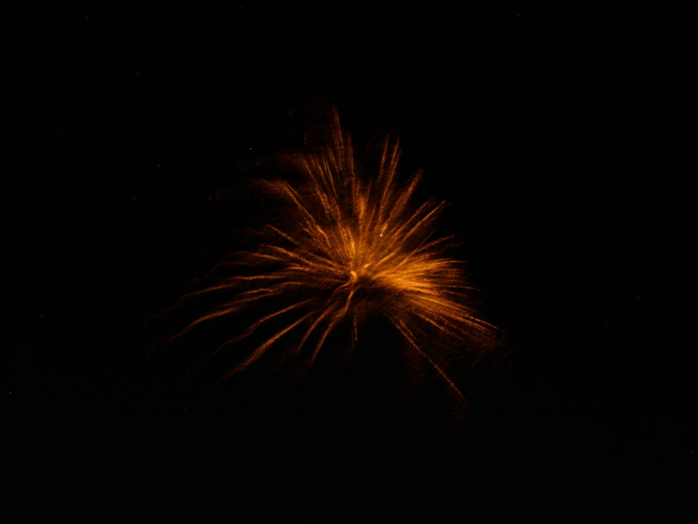 orange fireworks in the sky during night time