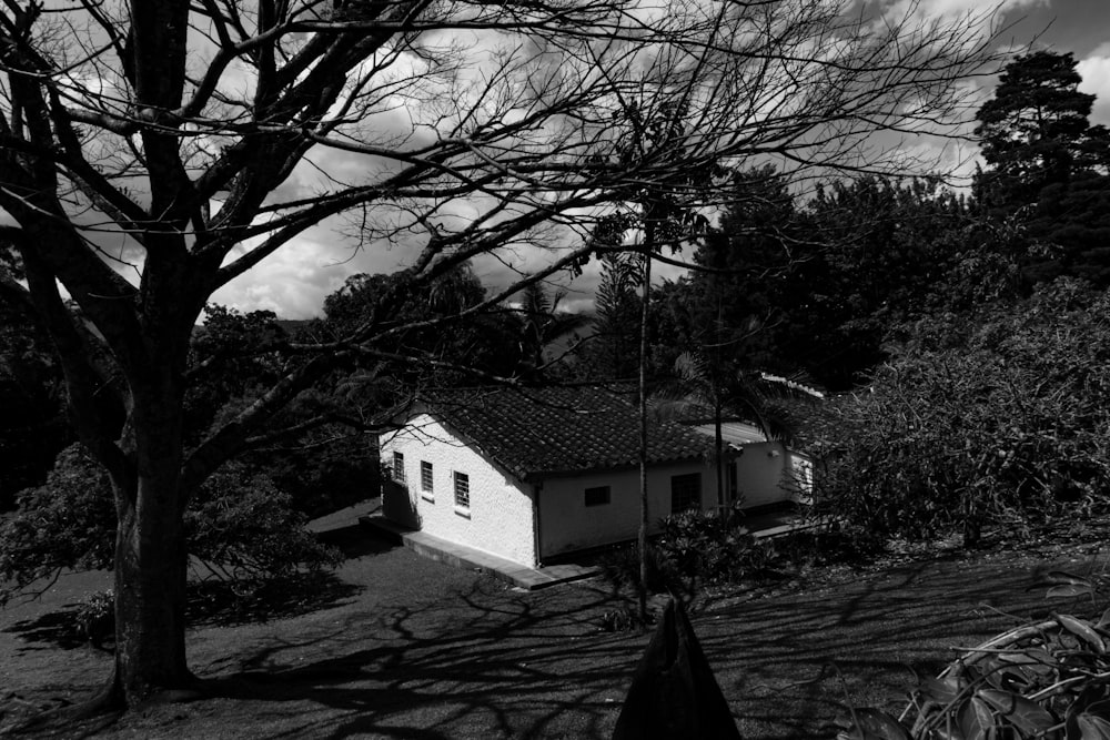 grayscale photo of house near bare trees