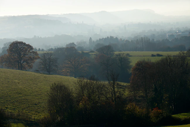 A rich oil painting of a misty morning landscape with rolling hills and soft light.
