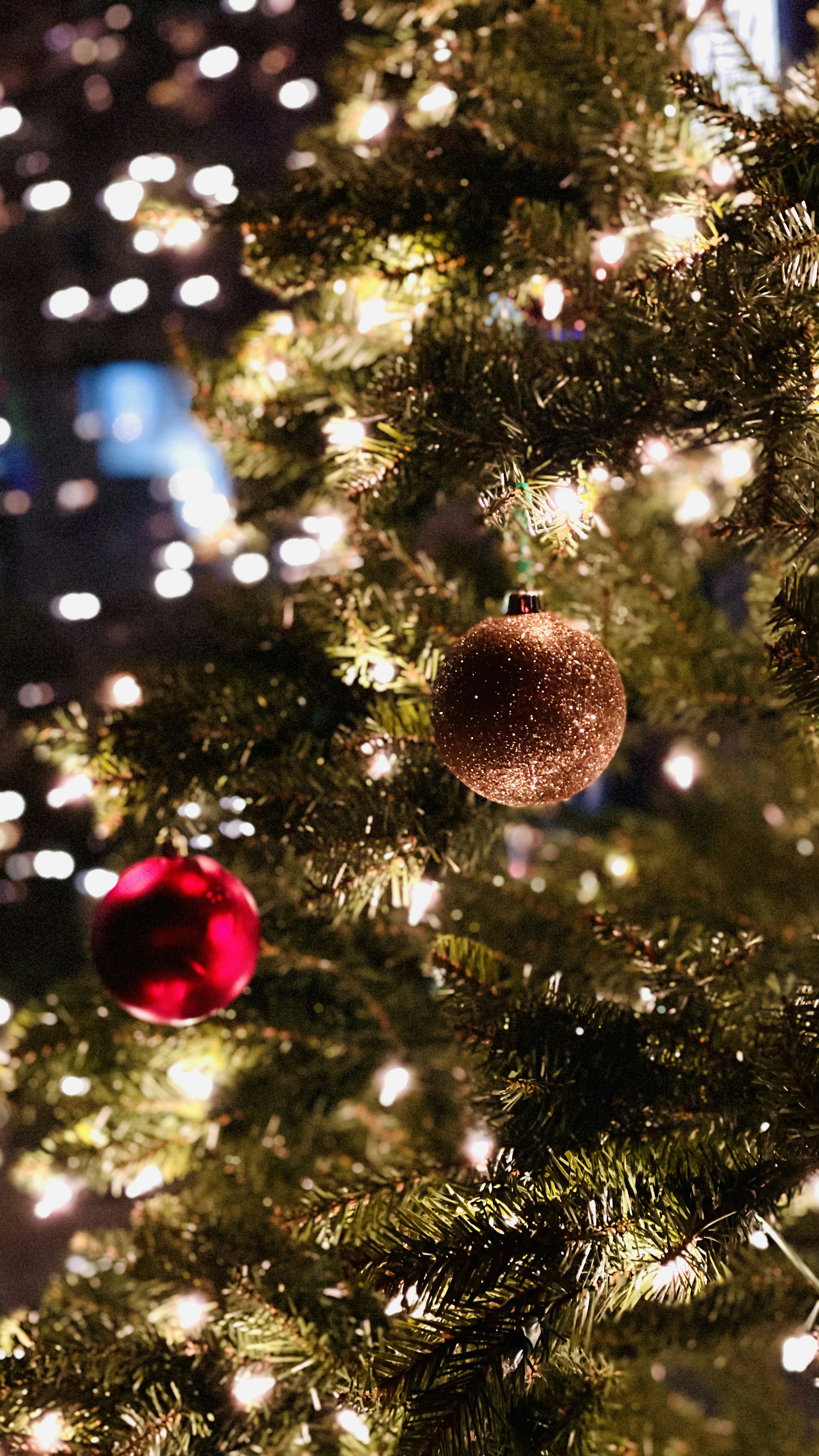 Photo by sangam_sharma