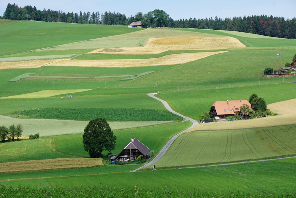 green grass field during daytime