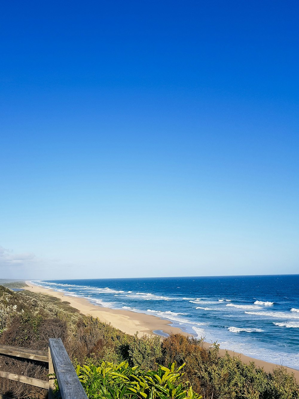 green grass field near sea under blue sky during daytime