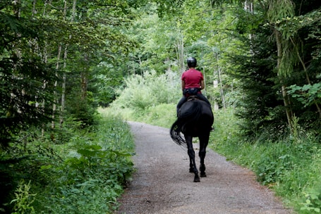 man in red jacket riding black horse on road during daytime