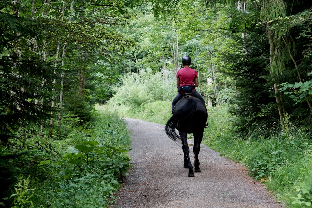 Hombre en chaqueta roja montando caballo negro en la carretera durante el día