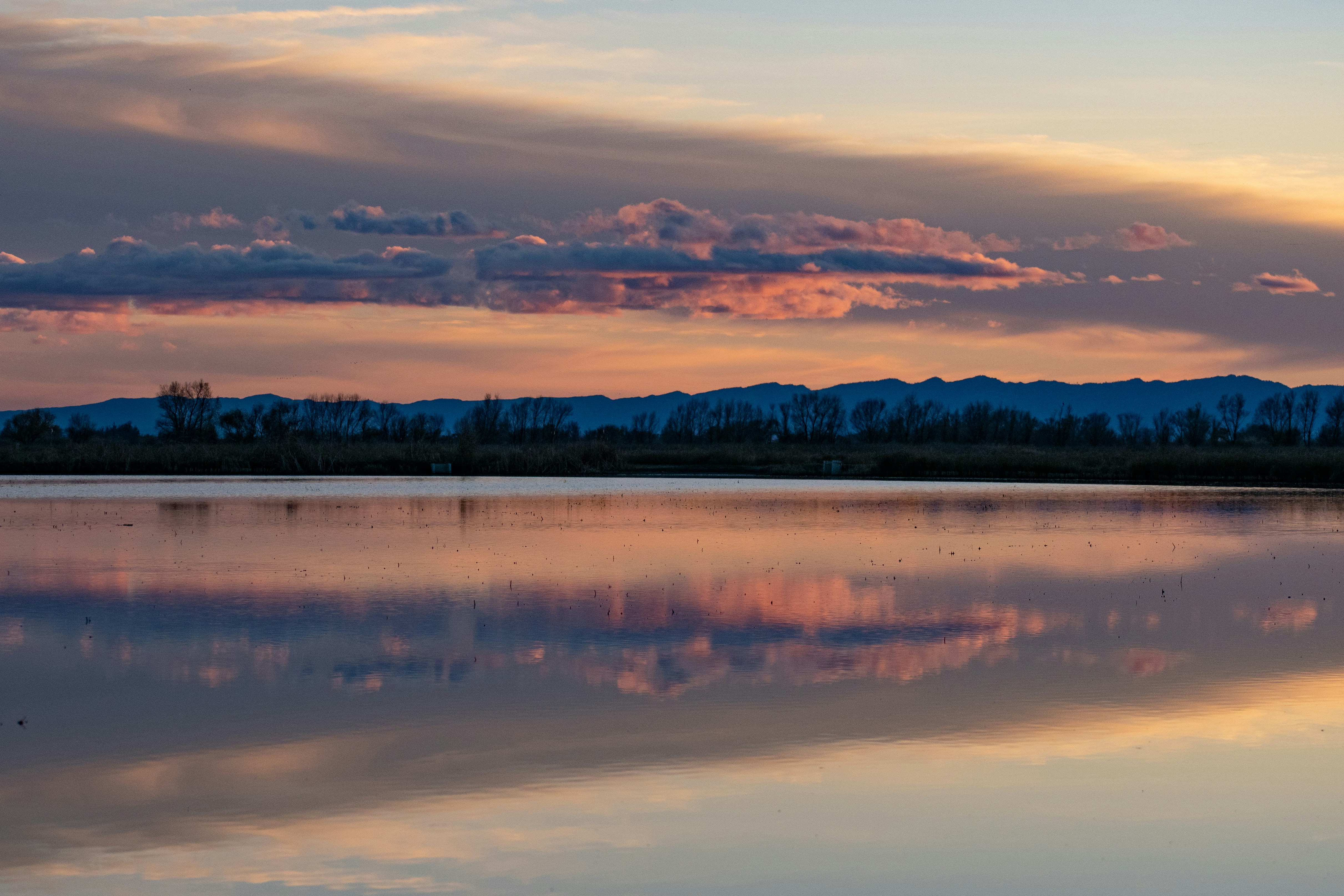 Photo by elisastonephotography