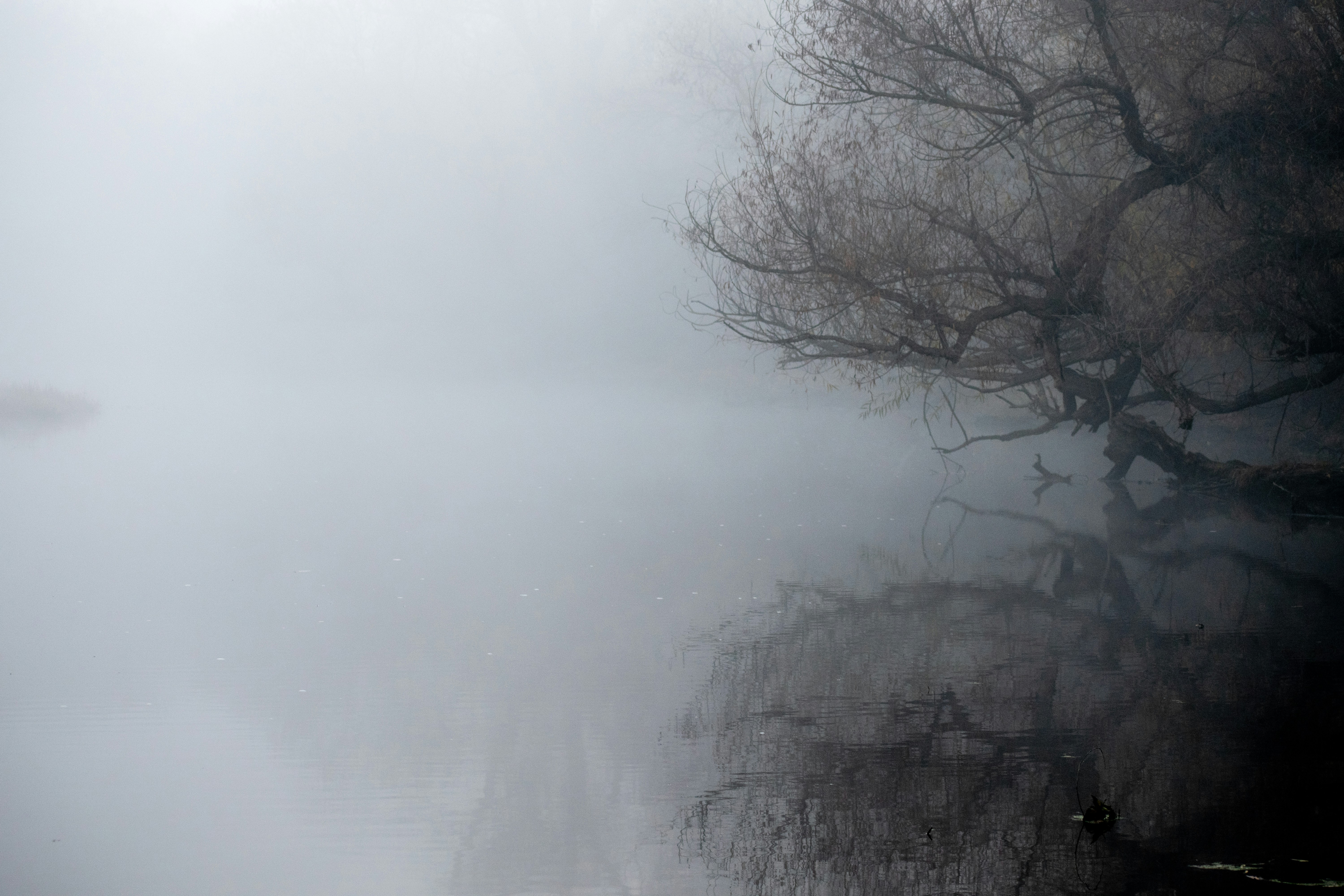 Photo by elisastonephotography