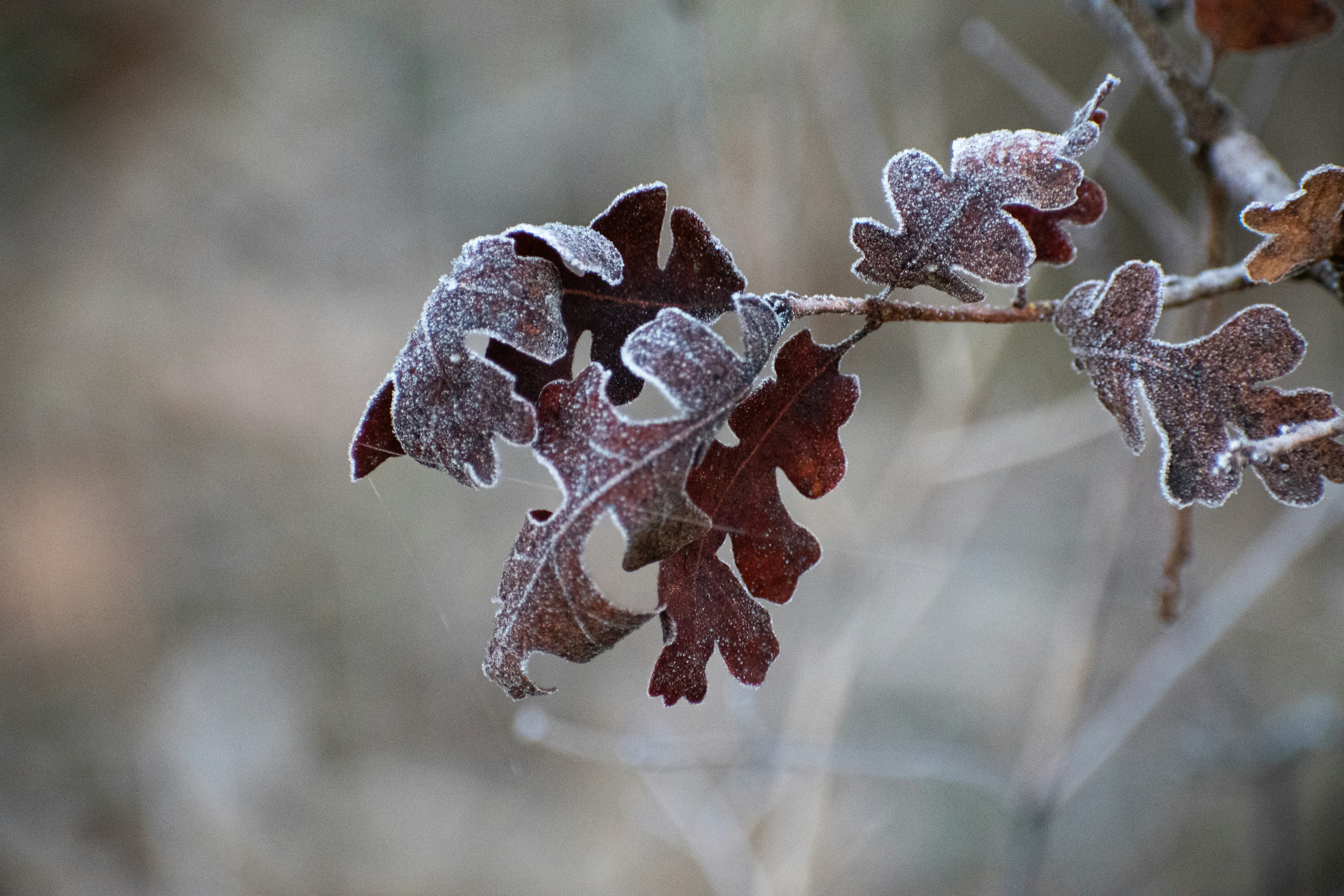 Photo by elisastonephotography