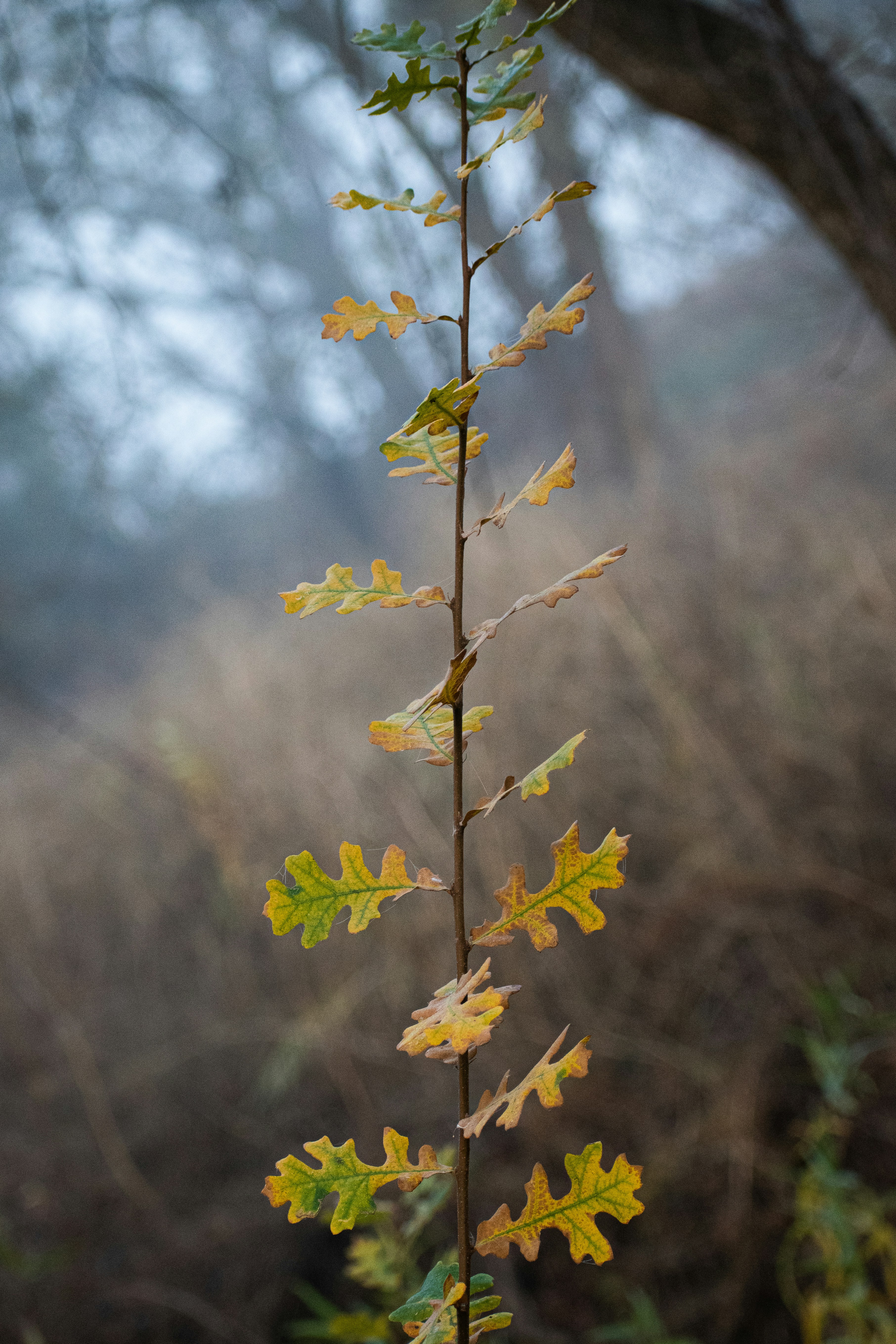 Photo by elisastonephotography