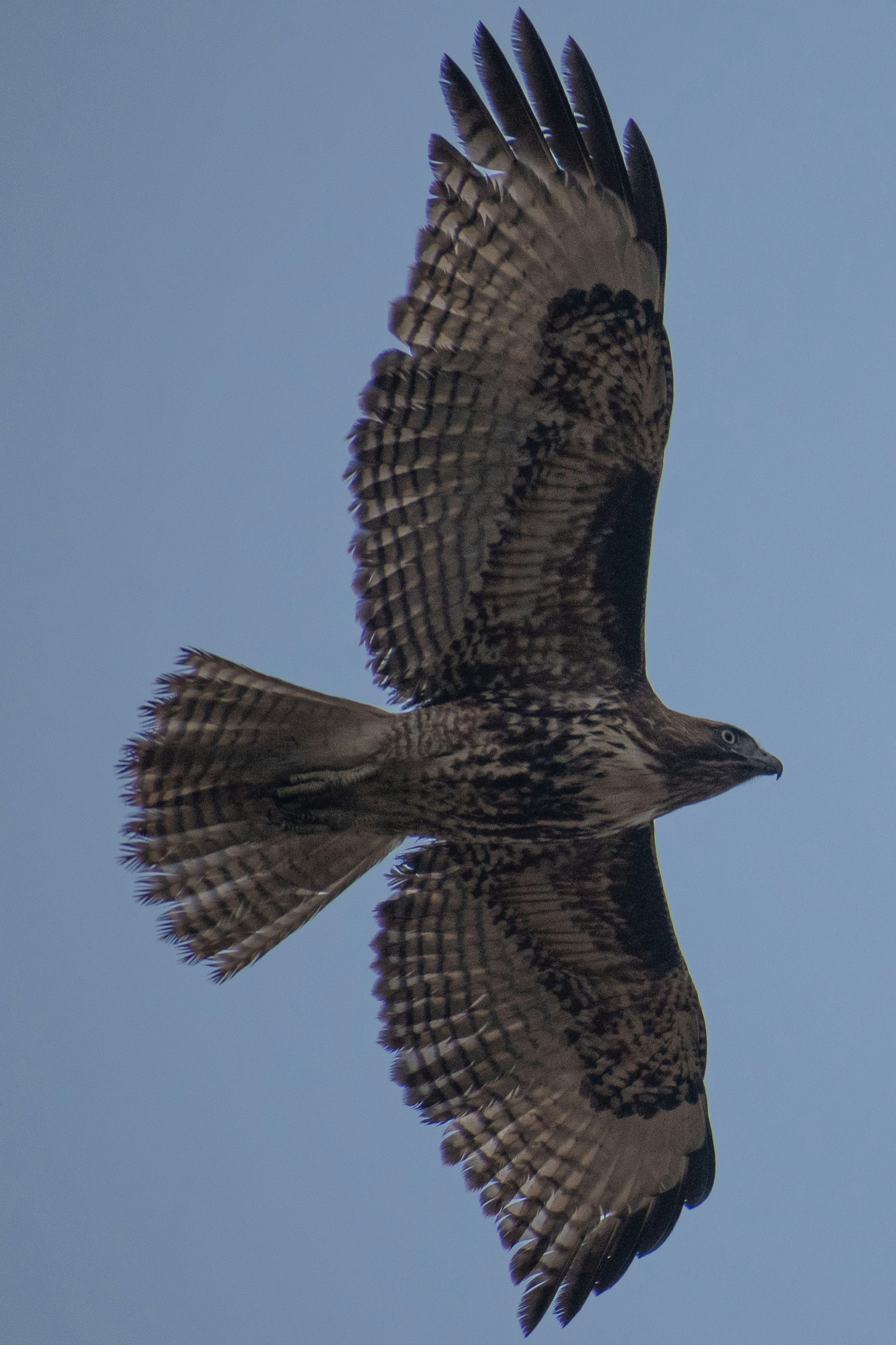 Photo by elisastonephotography