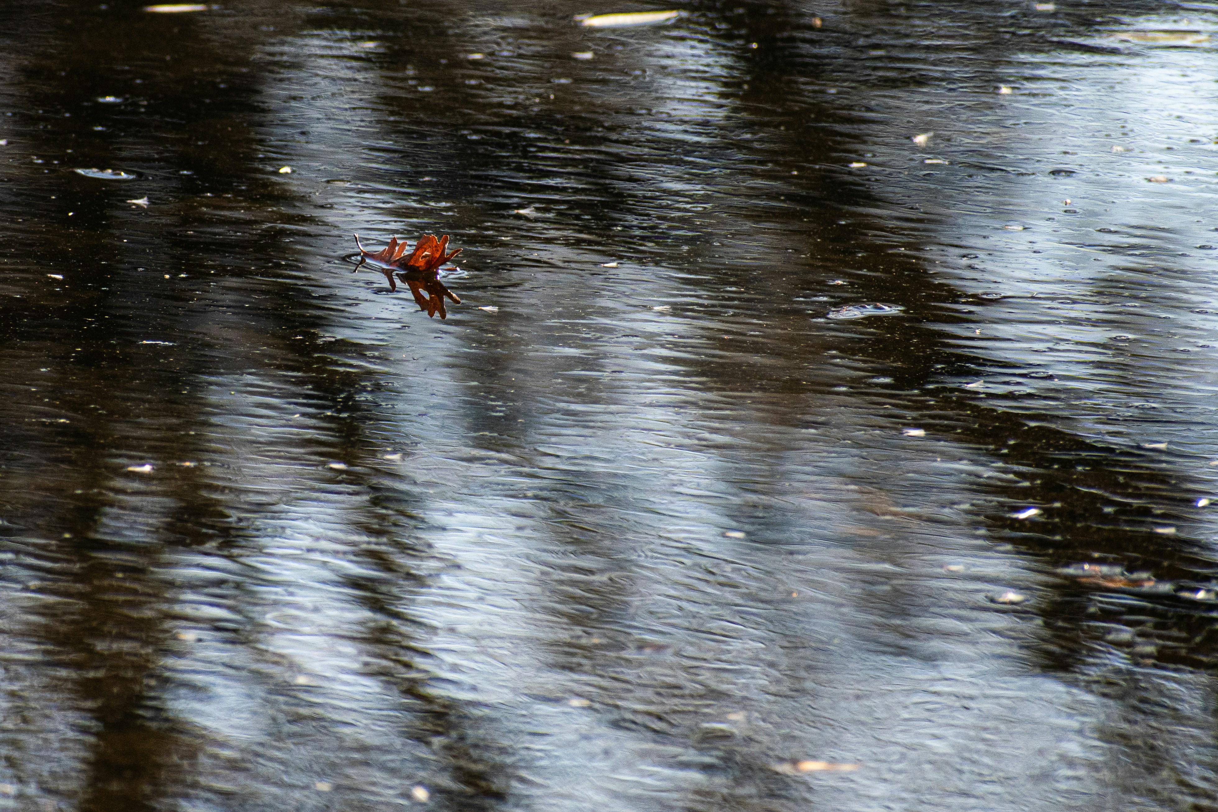 Photo by elisastonephotography