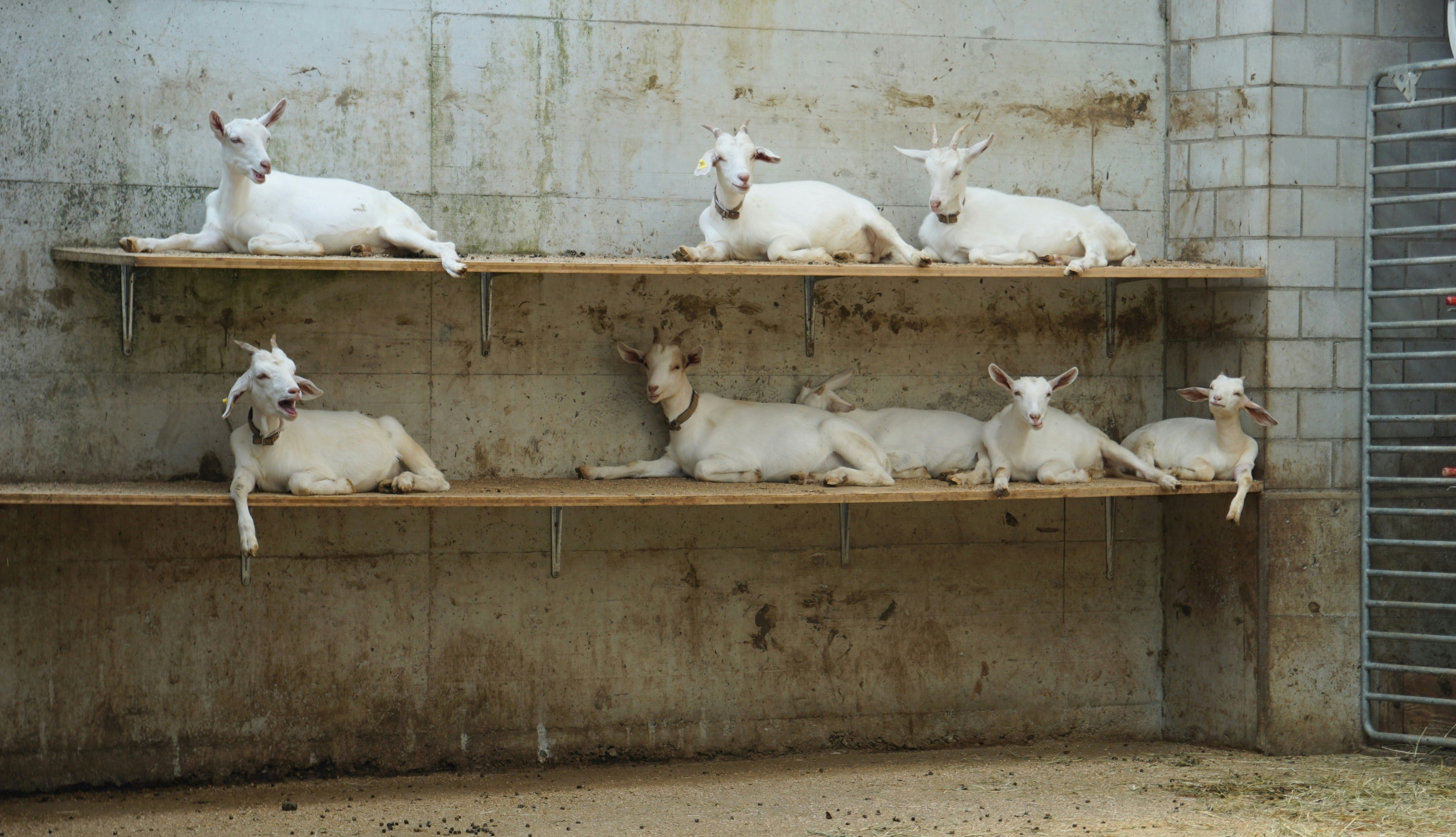 Fenntartható mezőgazdaság: a jövő kulcsa