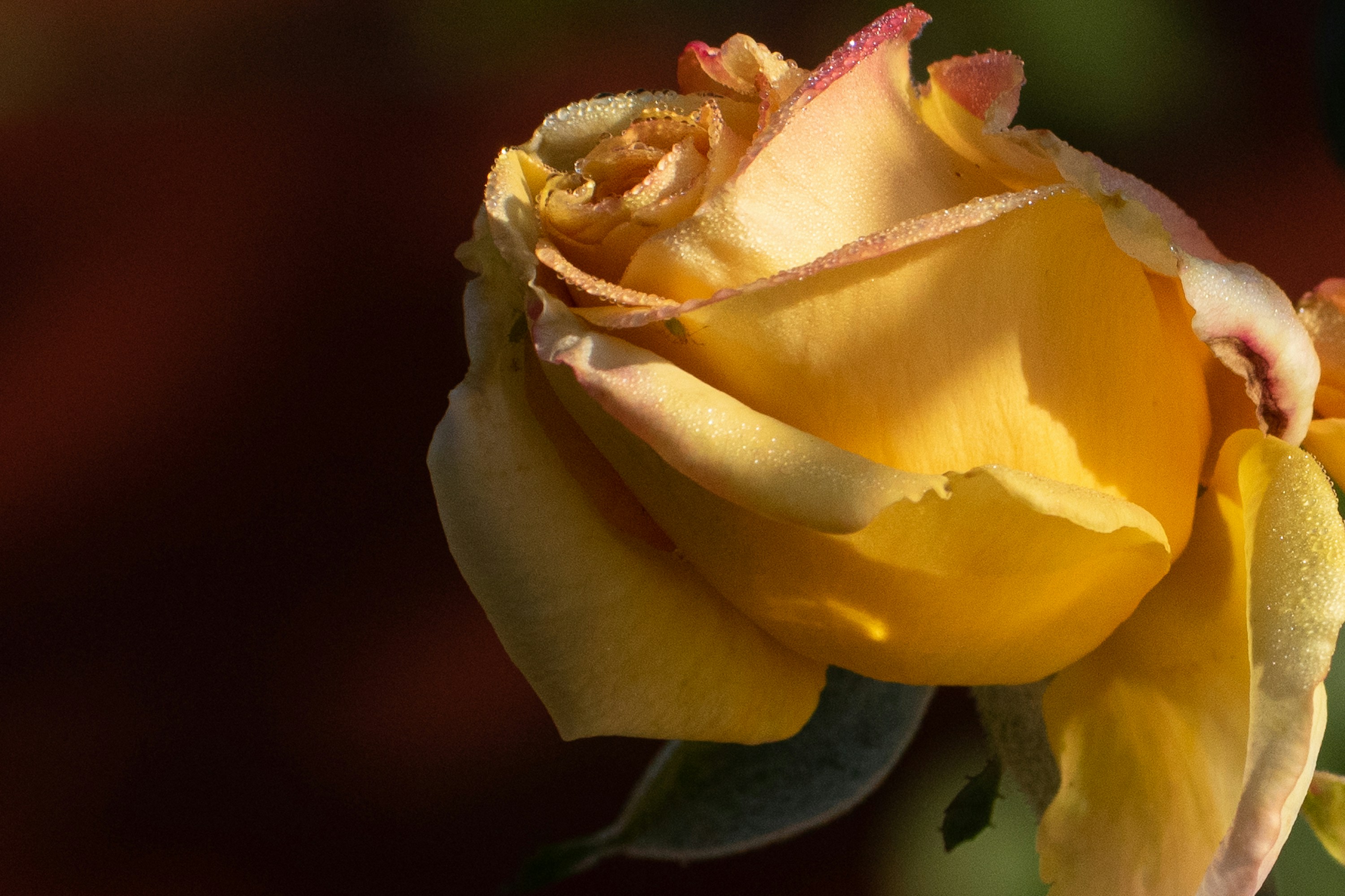 Photo by elisastonephotography