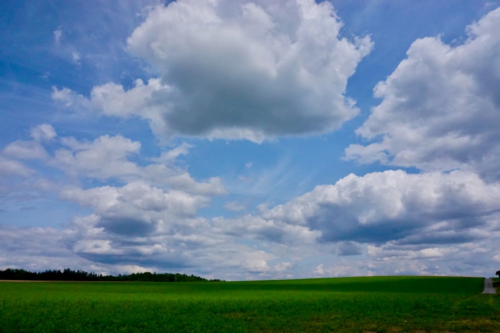 green grass field under white clouds and blue sky during daytime