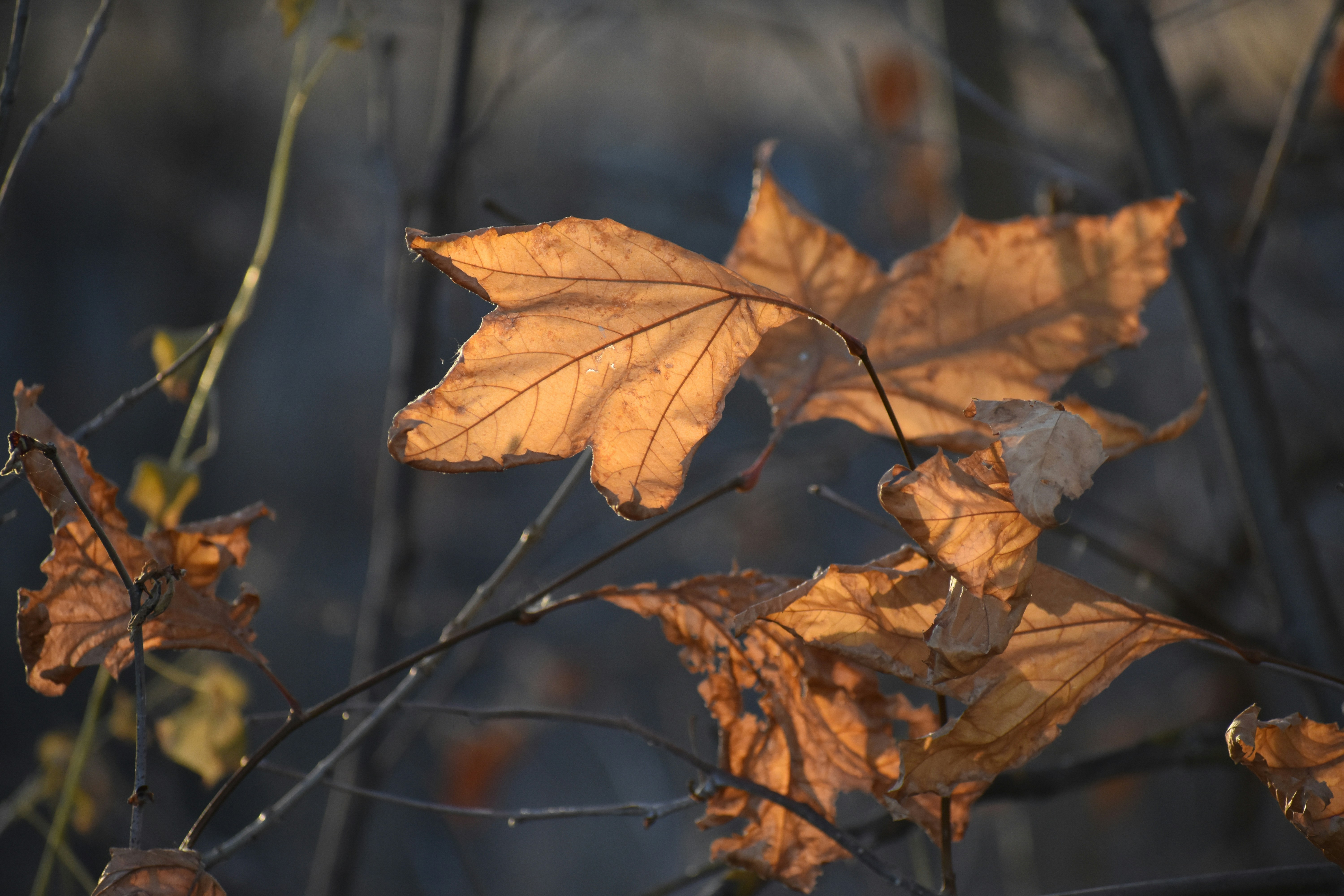 Photo by elisastonephotography