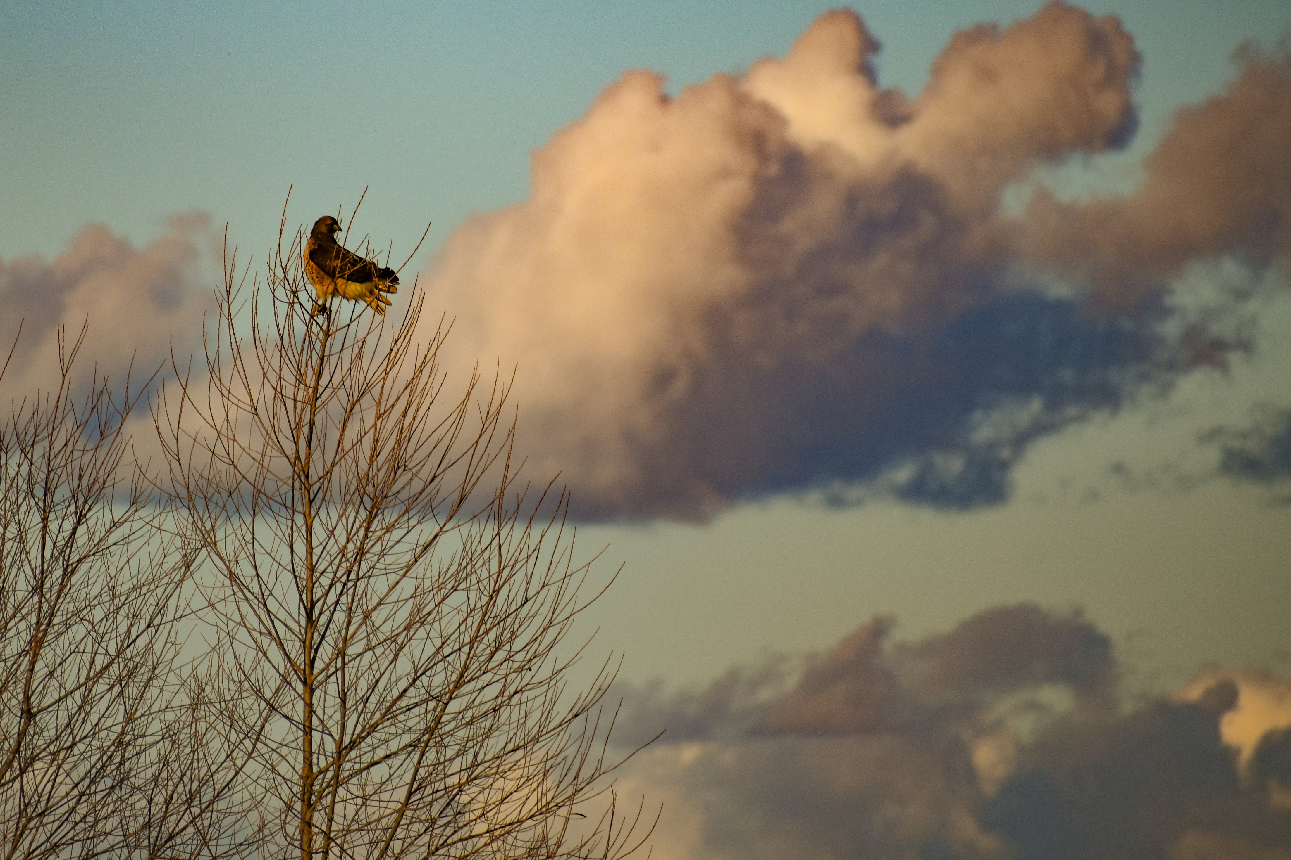 Photo by elisastonephotography