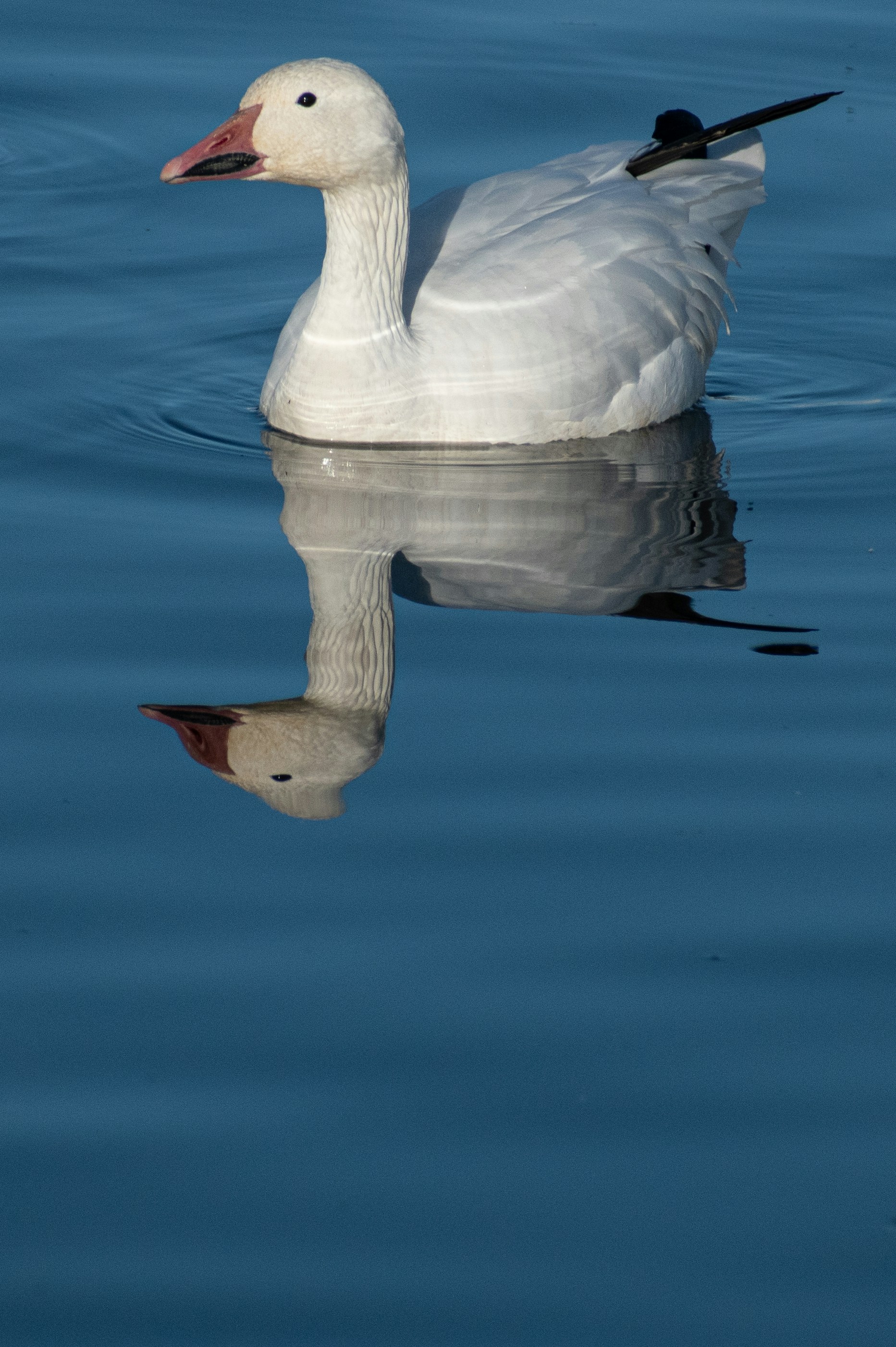 Photo by elisastonephotography