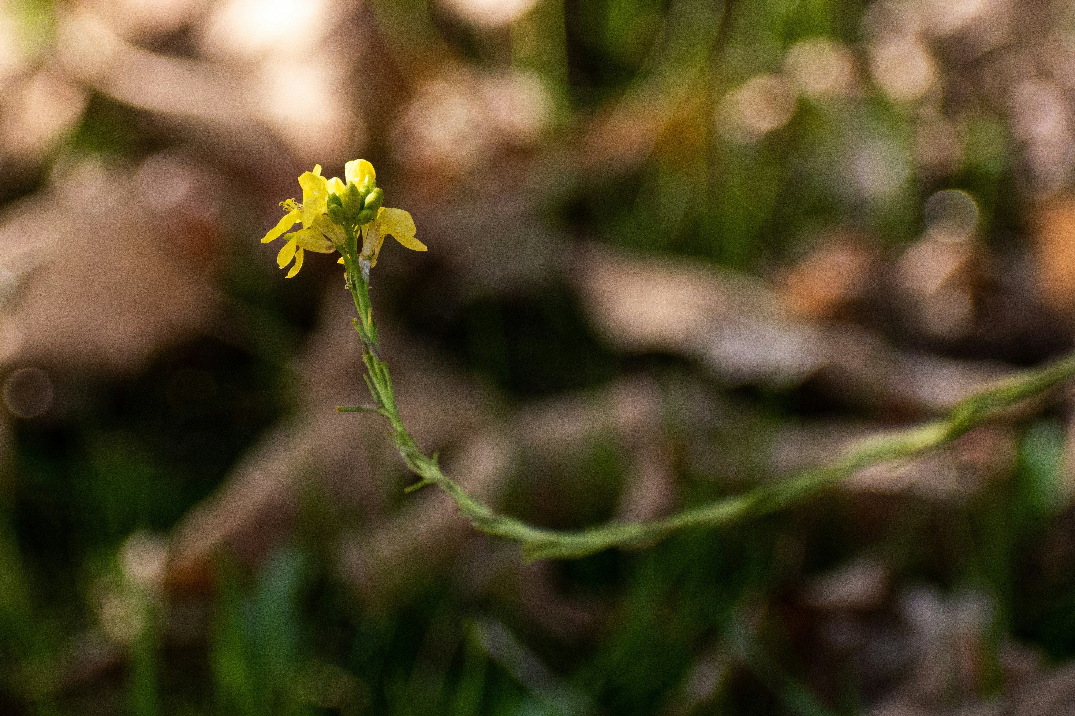 Photo by elisastonephotography