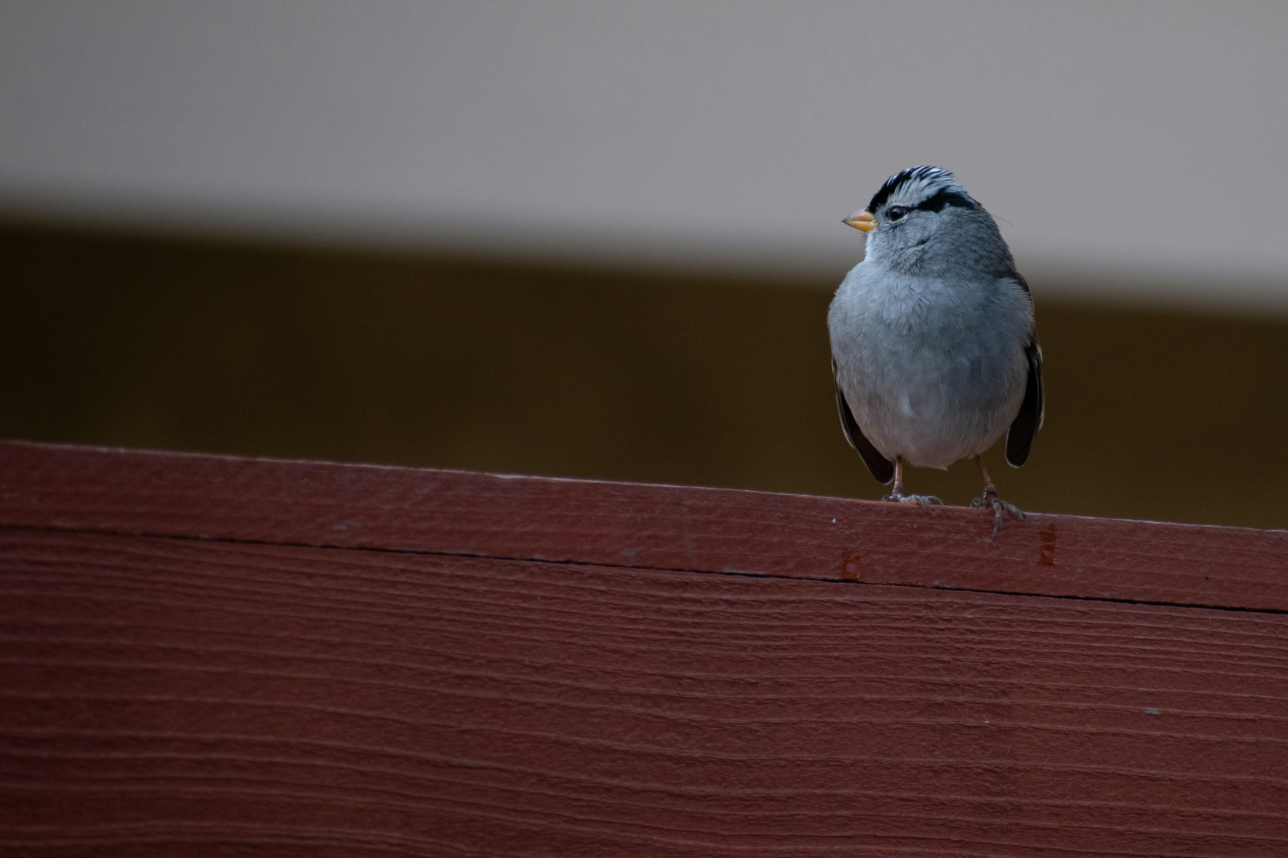 Photo by elisastonephotography