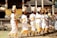 A group of women wearing traditional Balinese attire, featuring white garments with golden yellow sashes and elaborate headpieces, walk in a line, possibly participating in a cultural ceremony or dance. The background shows a traditional Balinese temple with intricate carvings and decorations.