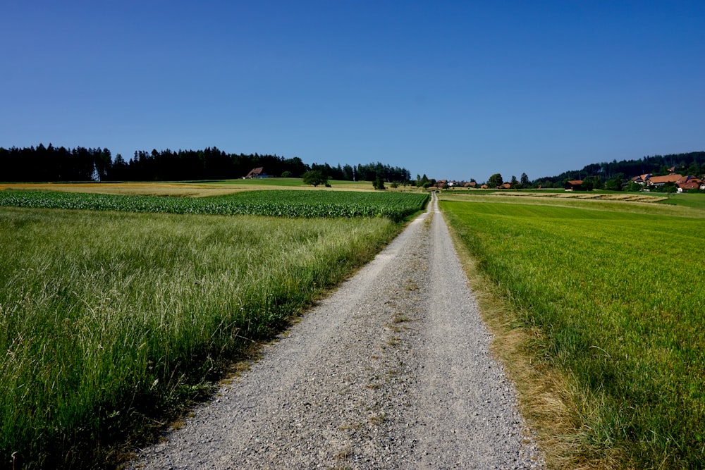 green grass field under blue sky during daytime