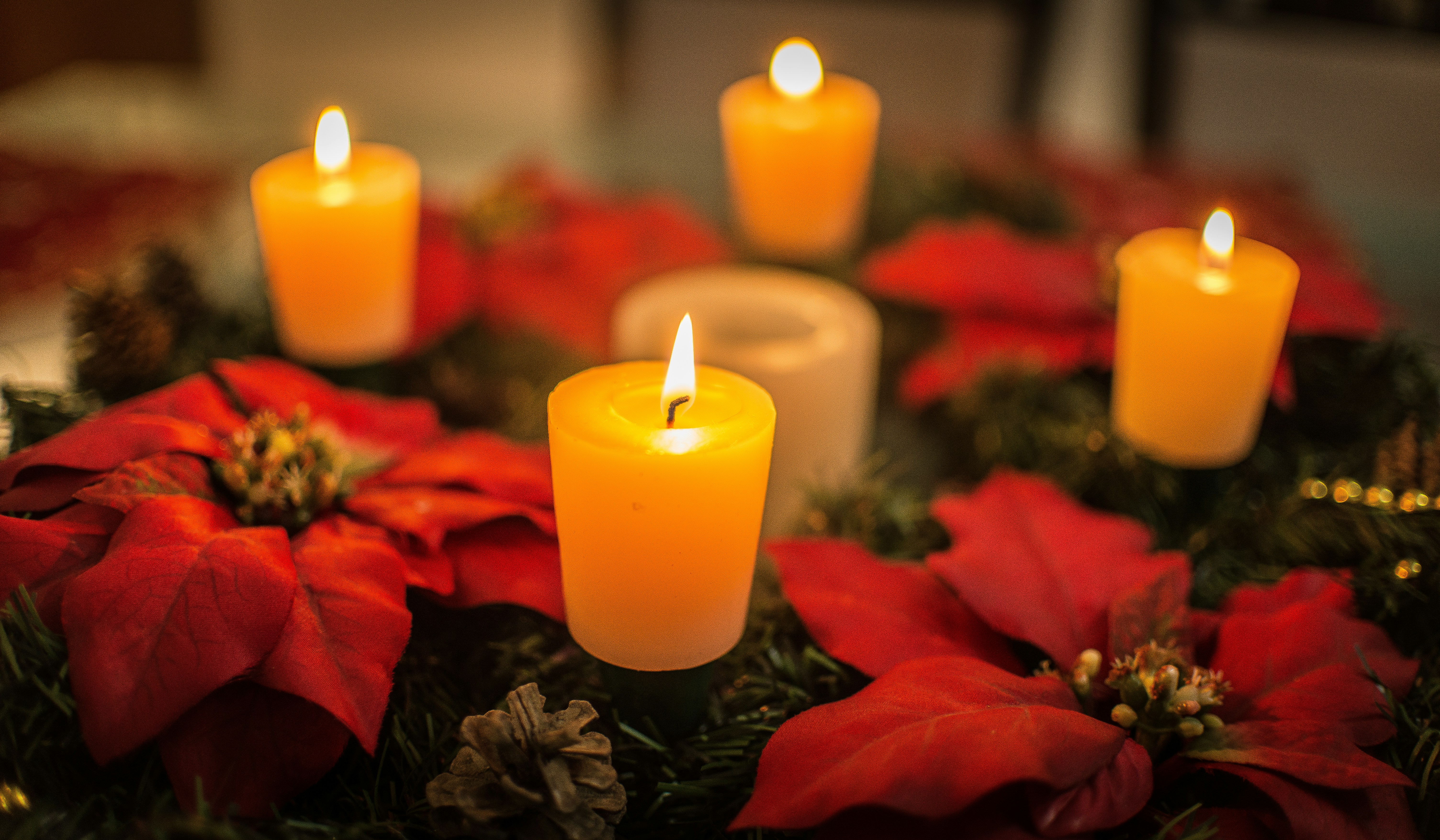 orange pillar candle on green plant