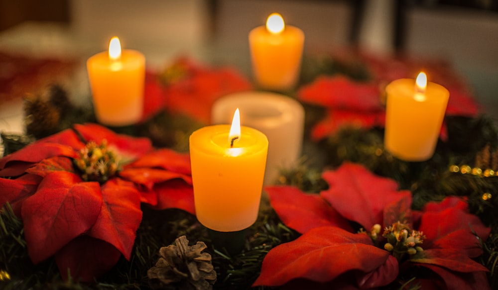 orange pillar candle on green plant