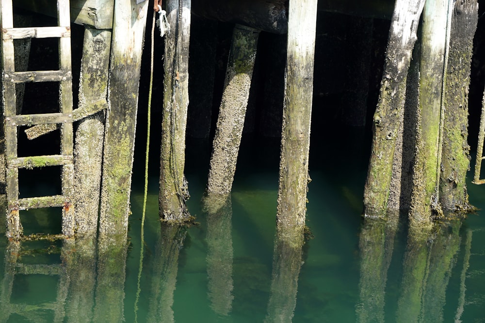 Poste de madera marrón en el agua