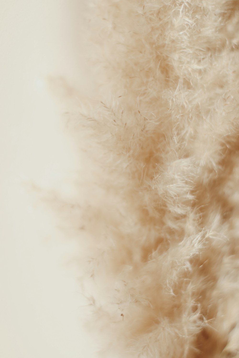 white and brown fur textile