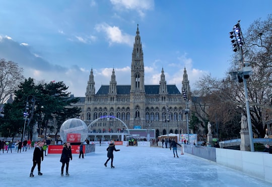 people walking on park near white concrete building during daytime in City Hall Austria