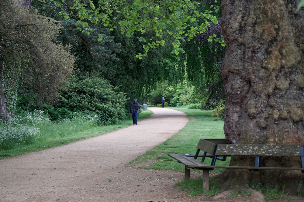 person in blue jacket walking on pathway between green trees during daytime