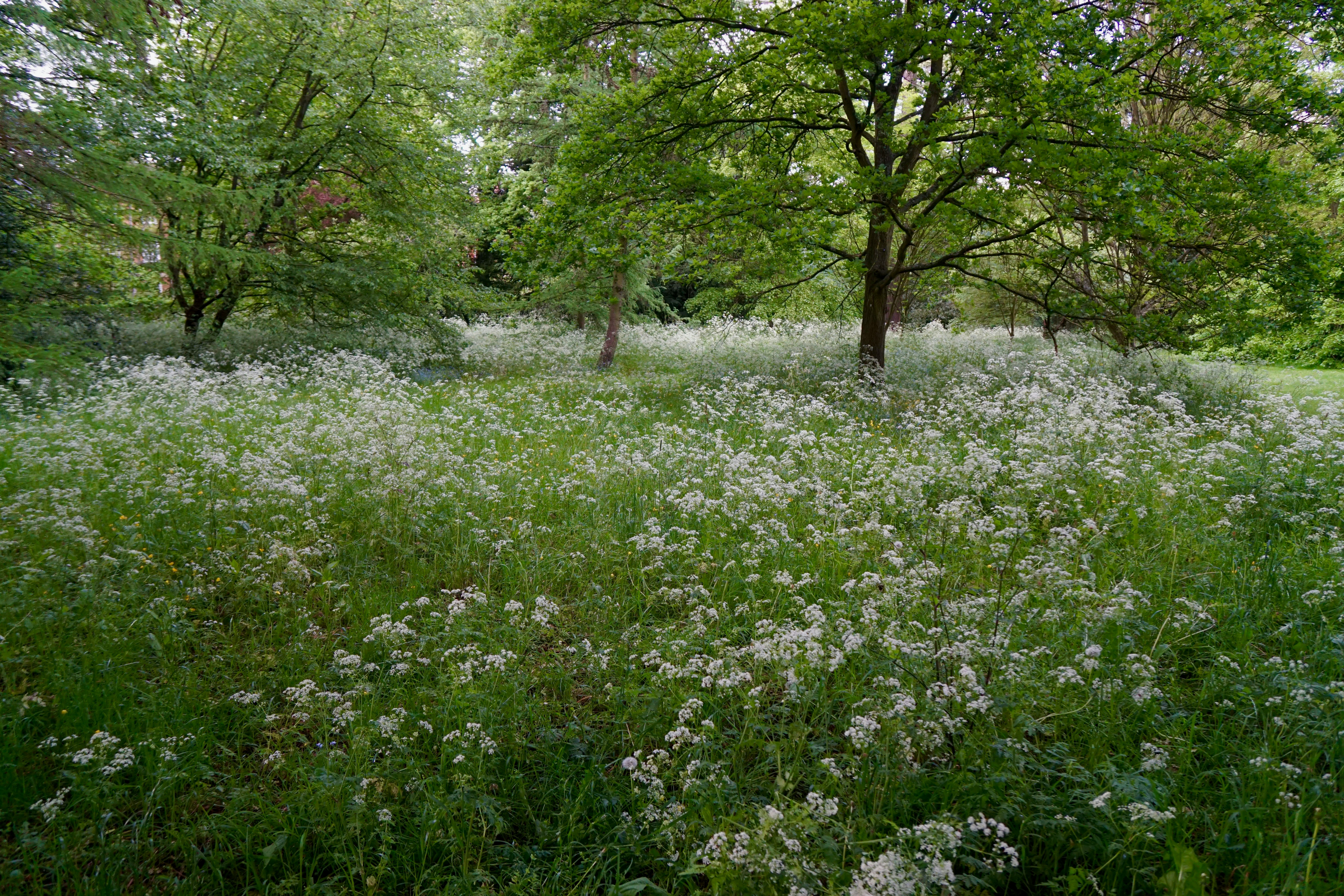 Strategies for Sleep in Withdrawal