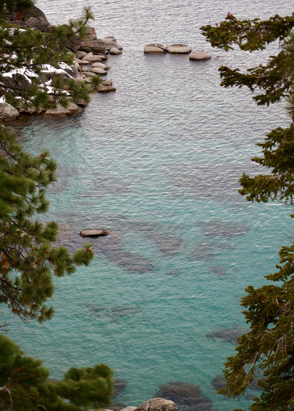 alberi verdi accanto allo specchio d'acqua durante il giorno