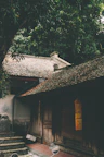 Serenenest homestay entrance framed by tropical greenery and welcoming wooden doors.