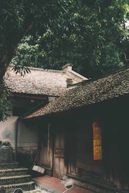 A peaceful tropical homestay entrance surrounded by lush green plants under soft sunlight.