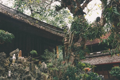 A peaceful garden space designed for relaxation and spiritual well-being.