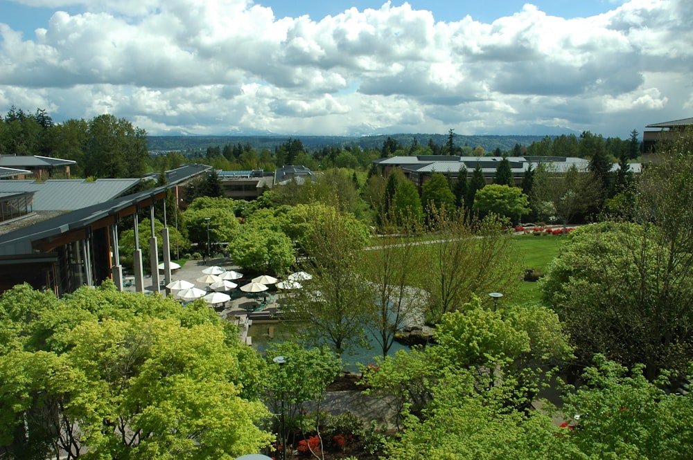 green trees and houses under white clouds and blue sky during daytime