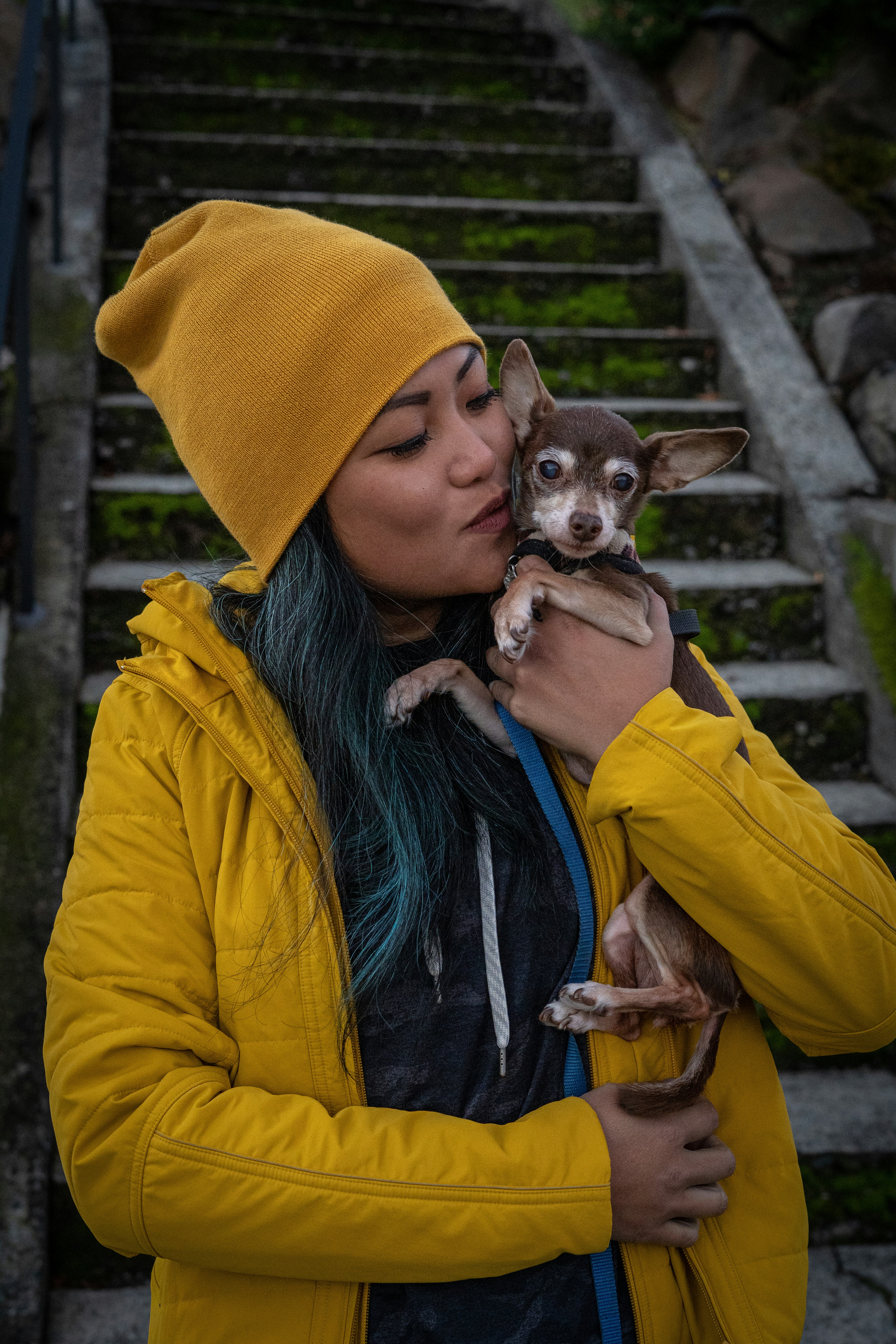 great photo recipe,how to photograph loving on my chihuahua minpin mix bebot; brown chihuahua in yellow hoodie