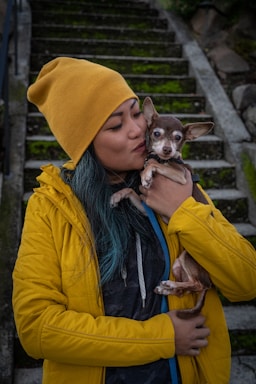 pet photography,how to photograph loving on my chihuahua minpin mix bebot; brown chihuahua in yellow hoodie