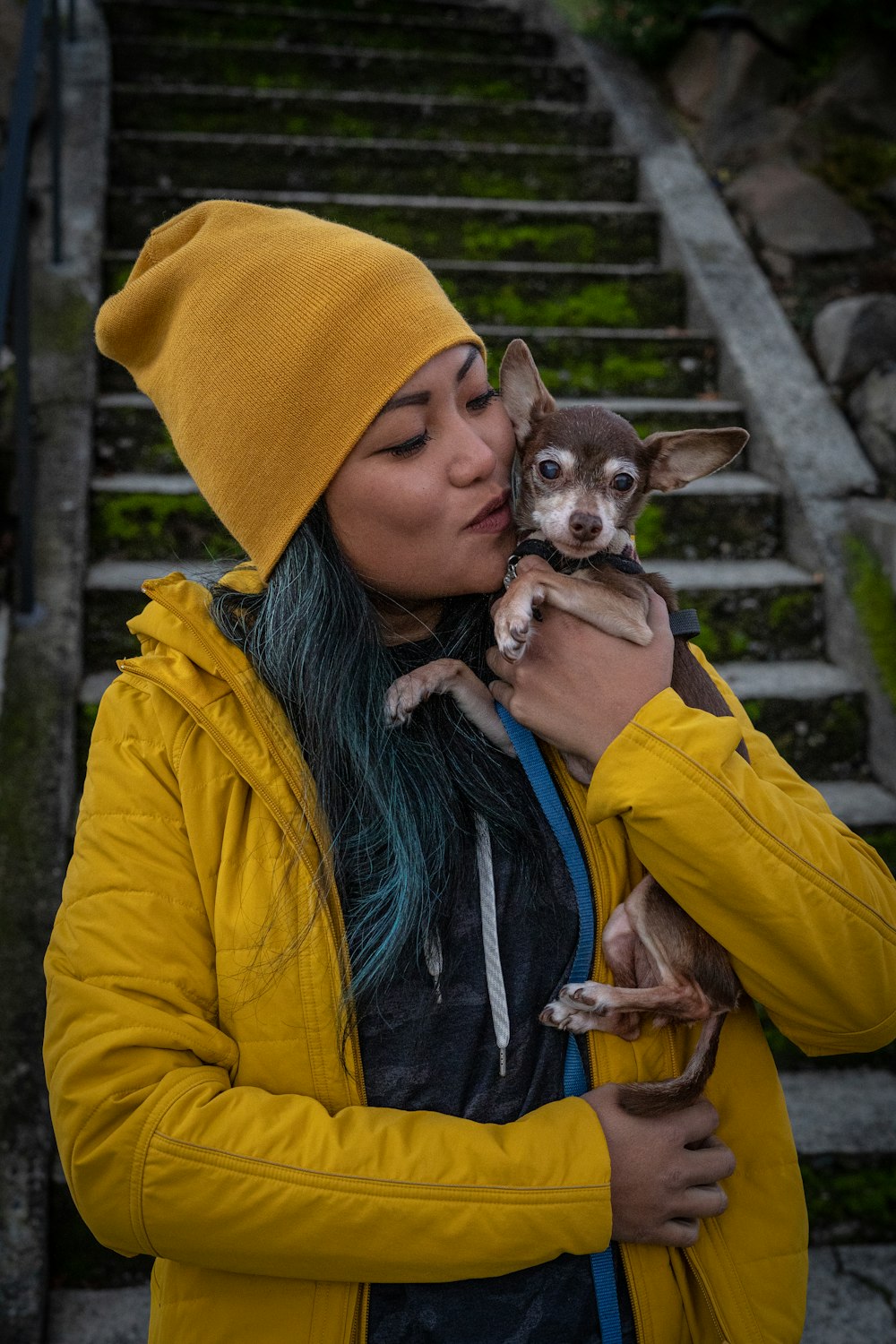 Chihuahua marrón con sudadera con capucha amarilla