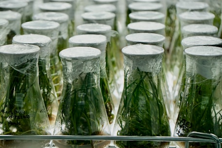 Close-up of green biomass being processed in a modern lab setting.