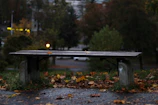 A quiet park bench surrounded by autumn leaves in a British town