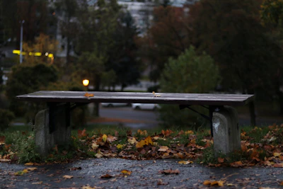 A quiet park bench surrounded by autumn leaves in a British town