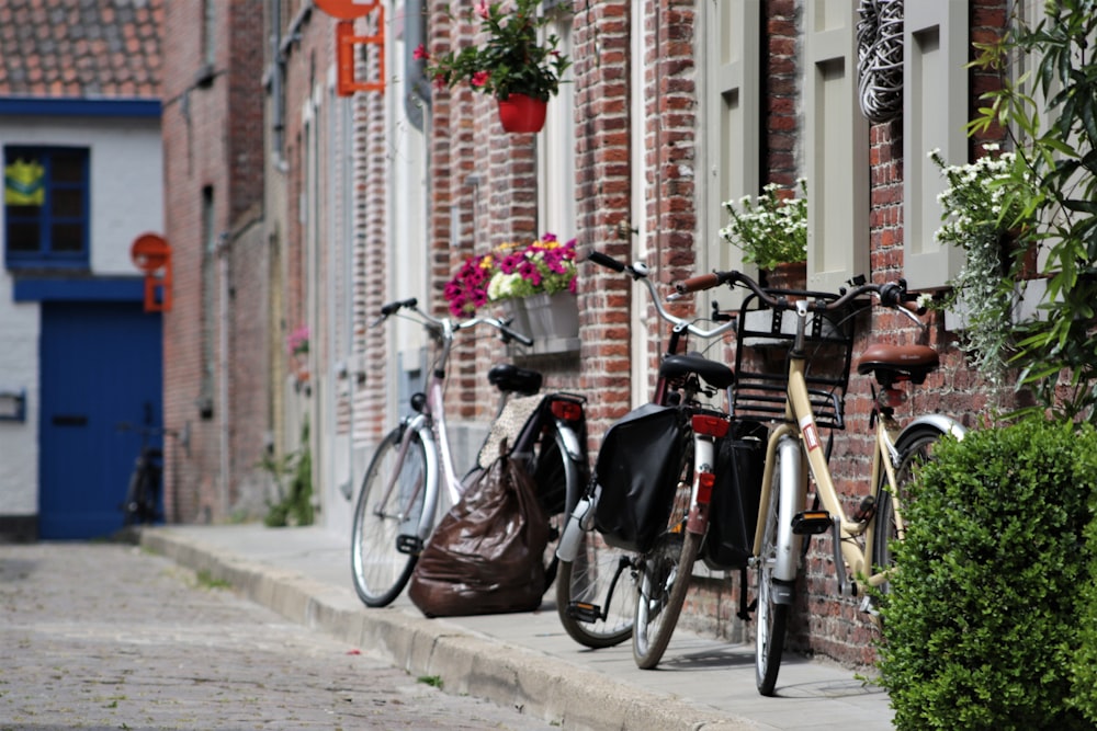 black and brown bicycle parked beside brown wooden fence during daytime