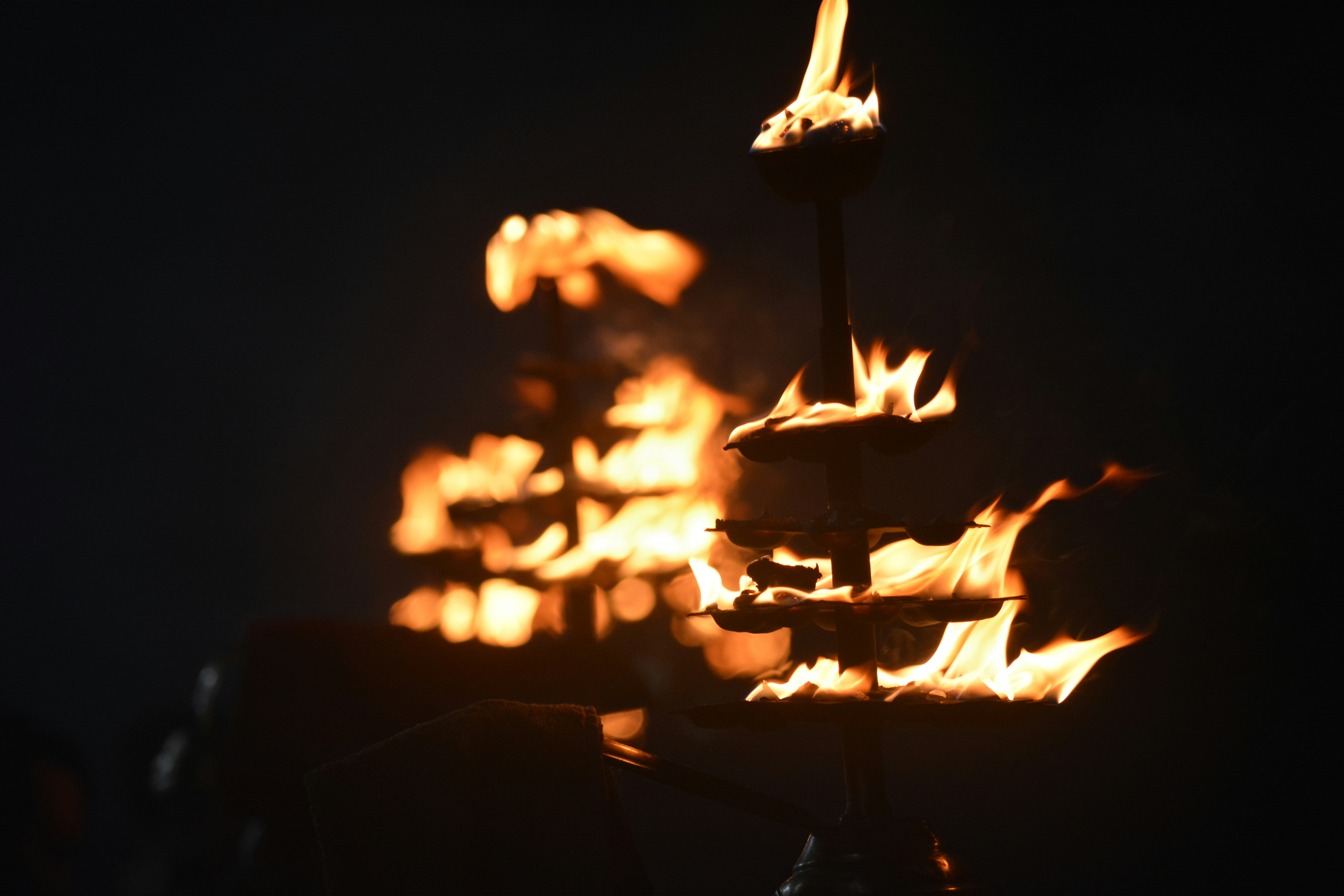 Photo by sohamking2001