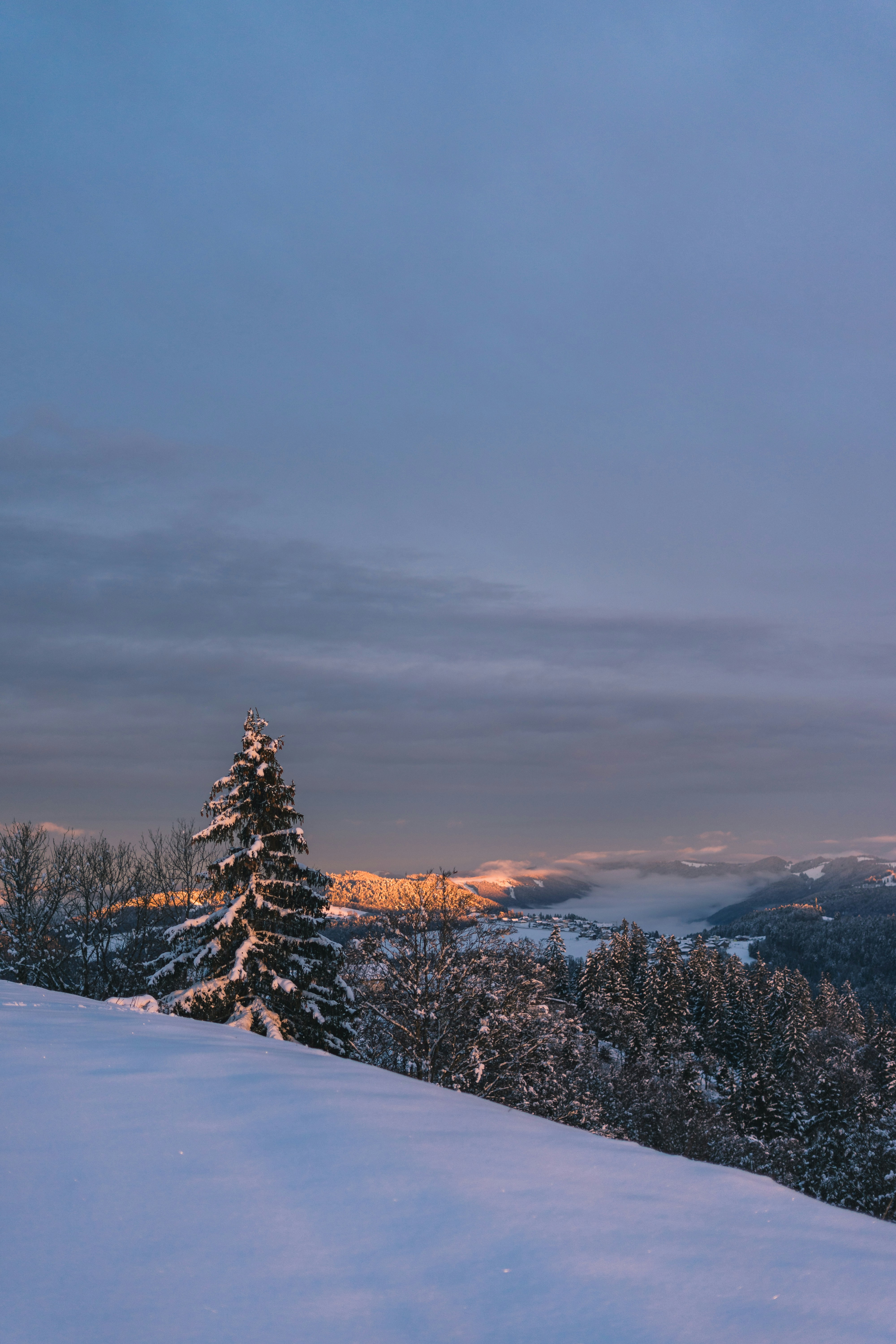 Photo by virussinside