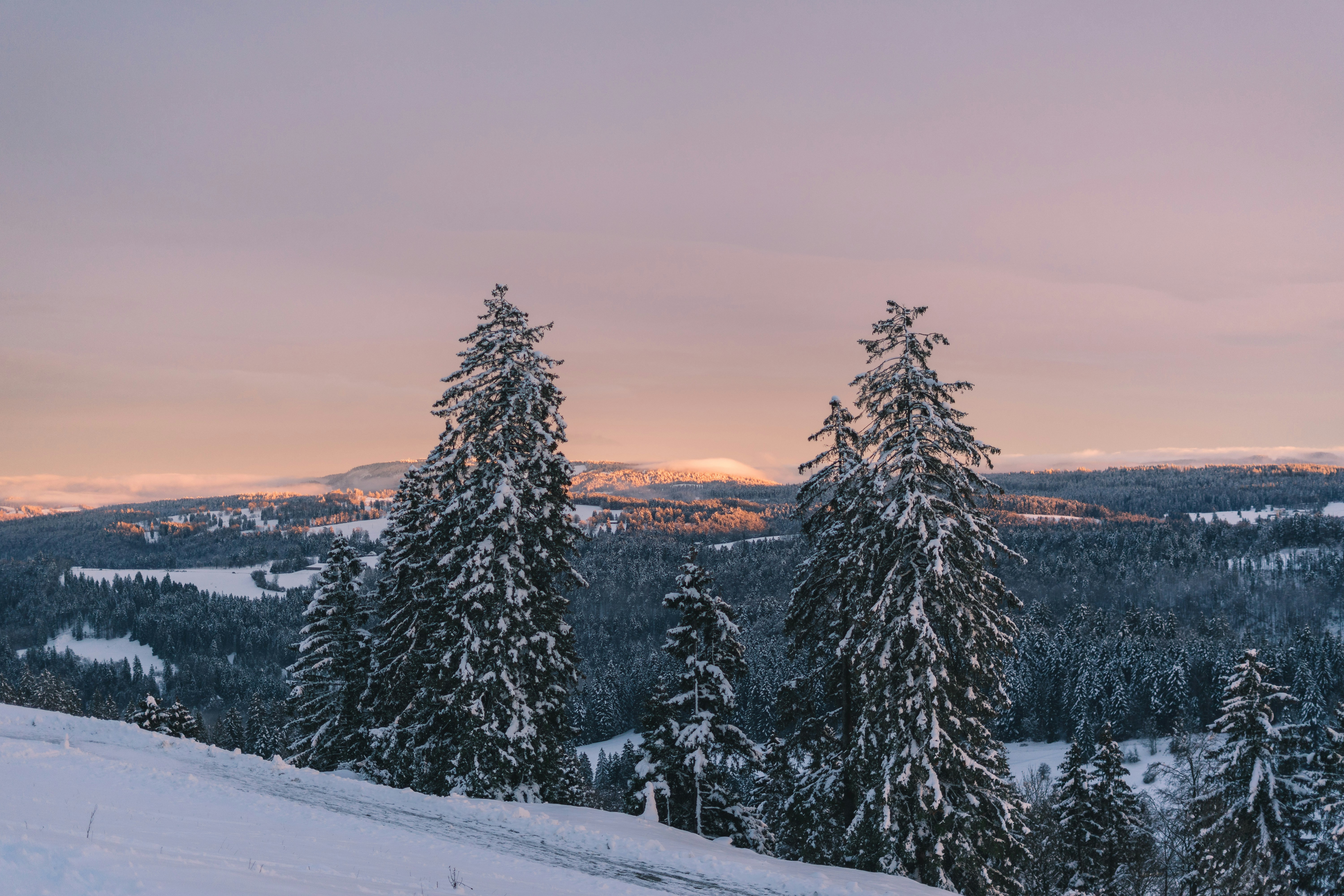 Photo by virussinside