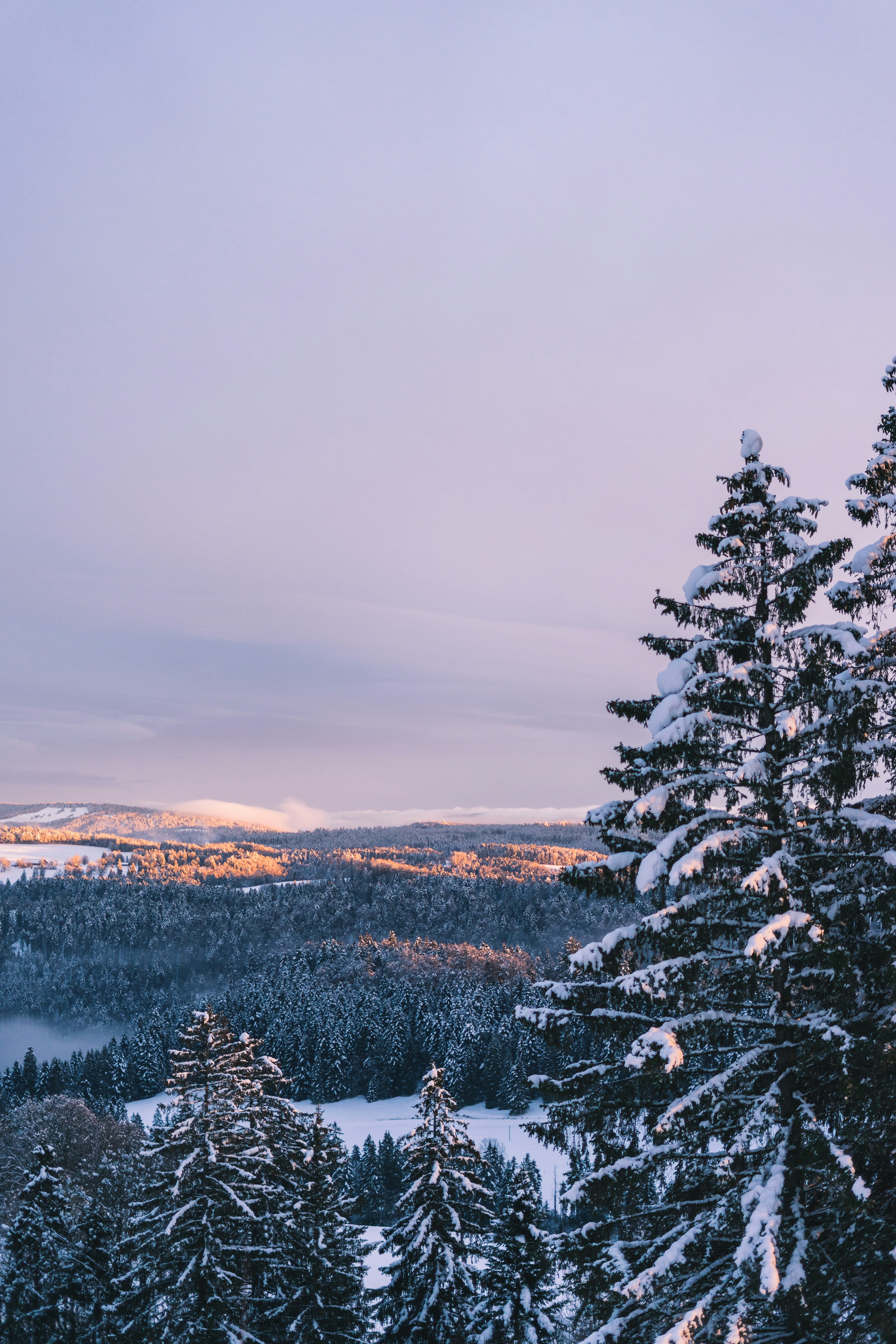 Photo by virussinside