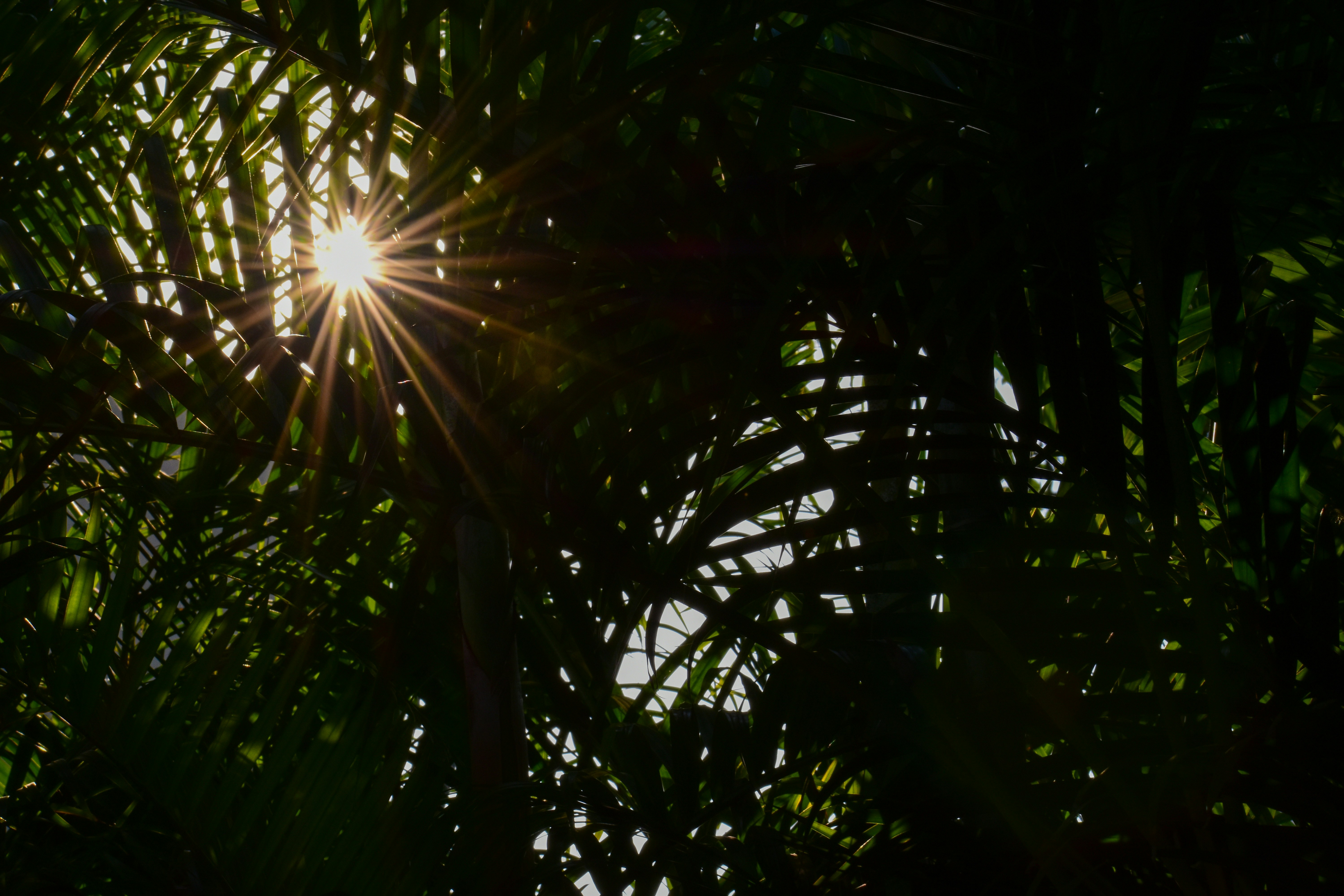 Photo by jainil25032006_