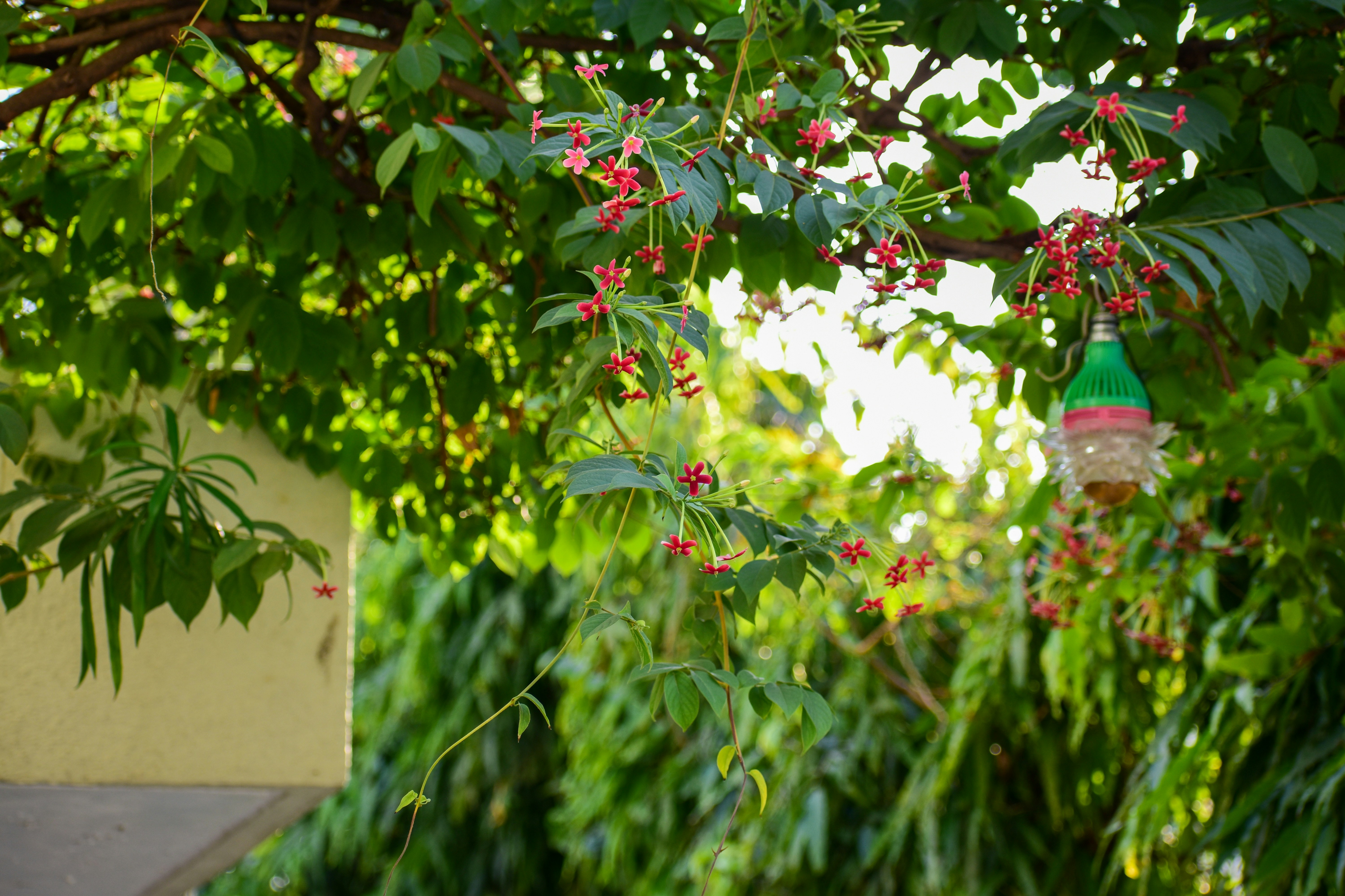 Photo by jainil25032006_