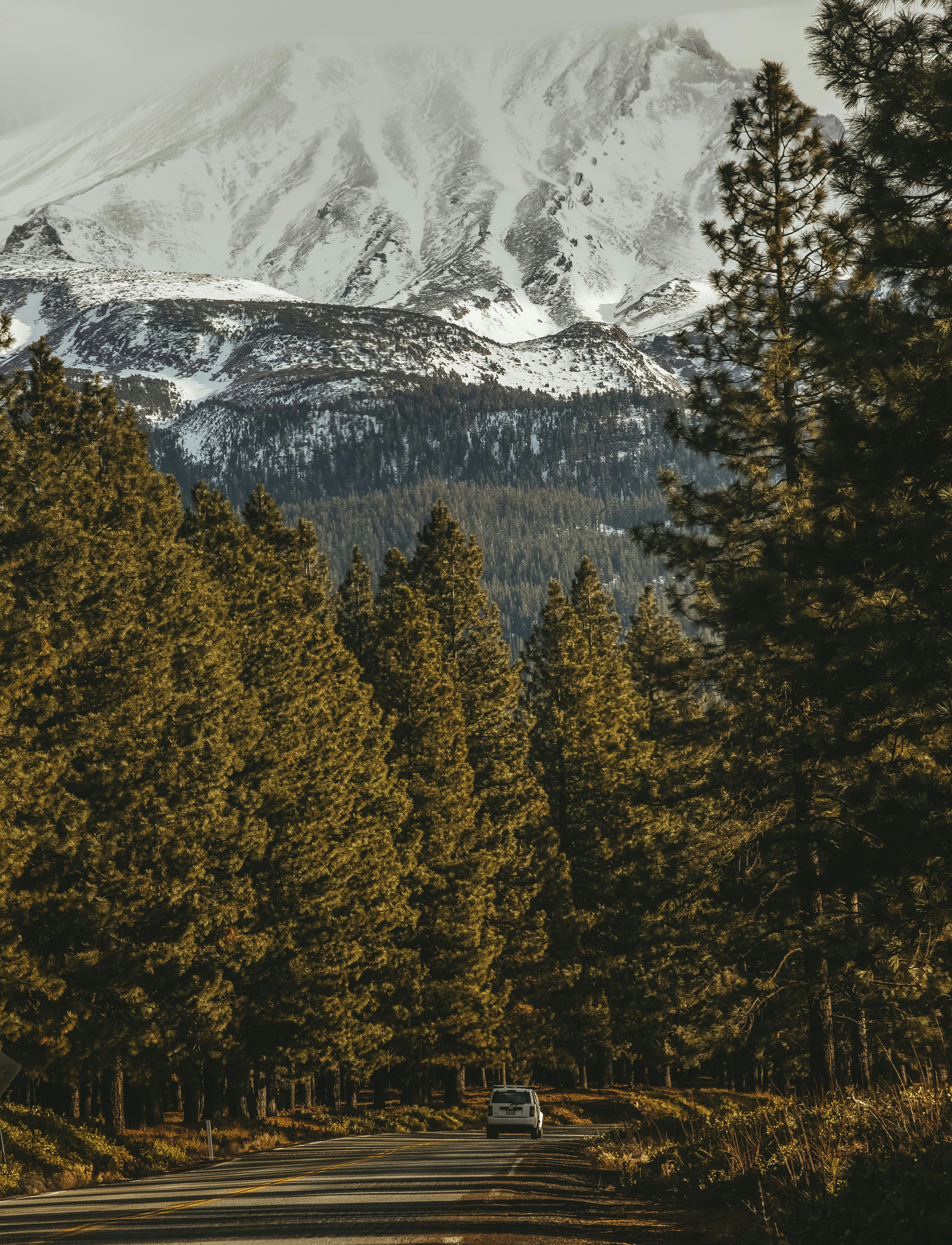 Photo by sandrakviatkovska